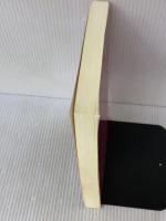 こころと脳の相談室名作選集 家の中にストーカーがいます ICE 林 公一