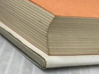 自由の森学園が崩壊する日: これが学校と言えるか恐るべき個性教育の実態 脱管理主義・反点数教育 閣文社 神山 吉光