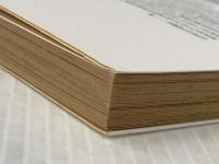 般若心経入門☆(マンガ)☆ (サンマーク文庫 C- 8) サンマーク出版 白取 春彦