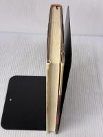 倭国・闇からの光―日本書紀の暗号を解く海のシルクロード アイペック 日根 輝己