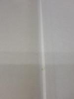 目でみる動きの解剖学 新装版: スポーツにおける運動と身体のメカニズム 大修館書店 ロルフ ヴィルヘード