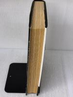 Suede: Love & Poison: The Authorised Biography Andre Deutsch Ltd Barnett, David