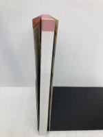 ハンディマップル でっか字 千葉 詳細便利地図 (地図 | マップル) 昭文社 昭文社 地図 編集部