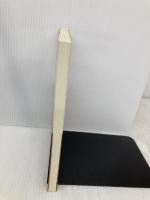 解析力学 (数理物理学方法序説 6) 日本評論社 保江 邦夫