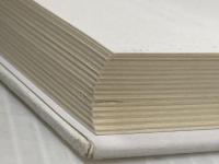 躁鬱病私の記録: 病友諸君、のんびり行こうよ 柘植書房新社 佐藤 宏明