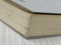 植芝盛平と合気道: 合気道史初の会見集 開祖を語る19人の弟子たち (合気ニュースブックシリーズ 1) どう出版 植芝 盛平