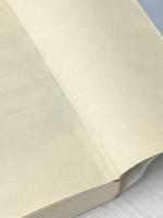 植芝盛平と合気道: 合気道史初の会見集 開祖を語る19人の弟子たち (合気ニュースブックシリーズ 1) どう出版 植芝 盛平