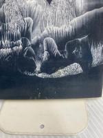 大江健三郎論: 森の思想と生き方の原理 彩流社 黒古 一夫