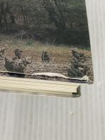 米が育てたオオクワガタ (イワサキ・ノンフィクション) 岩崎書店 山口 進