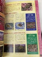 VM JAPAN完全攻略ガイド (KadokawaGameCollection) KADOKAWA コンプティーク