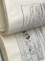 ※イタミ有 東都歳時記 (2) (東洋文庫 177) 平凡社 斎藤 月岑