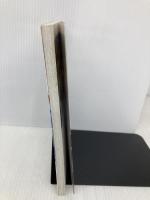 野山のデザ-ト: 季節の野草、木の実、花をおいしく食べる (Weekend cooking 7) 地球丸 新田 聡子