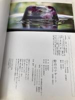 野山のデザ-ト: 季節の野草、木の実、花をおいしく食べる (Weekend cooking 7) 地球丸 新田 聡子
