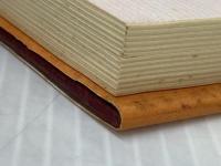 女酒ぐれ泥役者 三一書房 小林重四郎