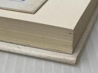 女性の時代という神話: 上野千鶴子は女を救えるか 青弓社 山下 悦子