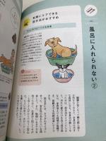 高齢犬のキモチがわかる本 (趣味の教科書) エイ出版社 星野 早百合