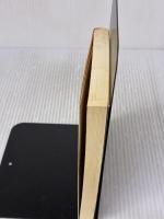 ホームドラマ 河出書房新社 新堂 冬樹