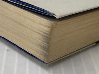 乗ったで降りたで完乗列車 (1983年) 創隆社 種村 直樹