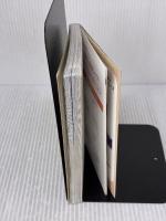 ワンテーマ指さし会話 台湾×夜市 (とっておきの出会い方シリーズ) 情報センター出版局 酒井 亨