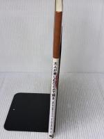 大人が楽しむひとふで描き　気軽に描ける四季のひとふでんず CEメディアハウス チームひとふでんず