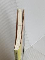 ピーターセンの英文ライティング特別講義40 旺文社 マーク・ピーターセン