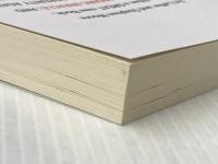 トランプ　経済繁栄の奇跡: The Trump Economic Miracle Independently published アーサー・B・ラッファー