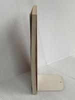 Solving the Procrastination Puzzle: A Concise Guide to Strategies for Change Penguin Publishing Group Pychyl, Timothy A.