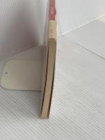 マース・エンジェル: 林あまり歌集 沖積舎 林 あまり