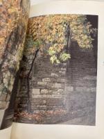 アシジの丘: 聖フランチェスコの愛と光 日本教文社 山川 紘矢