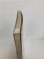 ドンキーコング必勝攻略法: ドンキーコングを追いかけてヒロイン、ポリーンを救い出せ (ゲームボーイ完璧攻略シリーズ 20) 双葉社 ファイティングスタジオ