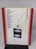 脳がつくる形 (形の文化誌 2) 工作舎 養老 孟司