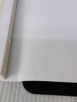 【Amazon.co.jp 限定】魔王様と龍王様に愛されすぎちゃう異世界ライフ(ペーパー付き) (CROSS NOVELS) 笠倉出版社 真船 るのあ