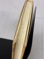 絢爛とか爛漫とか: モダンボ-イ版/モダンガ-ル版 論創社 飯島 早苗