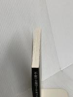 不変の士業マーケティング　－士業として生き残るための43のヒント― ギャラクシーブックス 司法書士法人オフィスワングループ　島田 雄左