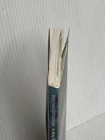 Postmodernism: A Very Short Introduction Oxford Univ Pr Butler, Christopher