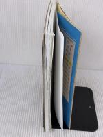 【※イタミ有り】実用数学技能検定 過去問題集 数学検定3級 丸善出版 公益財団法人 日本数学検定協会