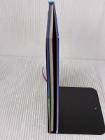 Beauty and the Beast (Young Reading Series 2) Usborne Publishing Ltd Stowell, Louie