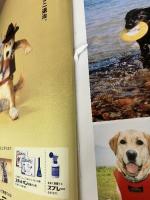 ワンちゃんネコちゃんペットと泊まる宿―ペンション・ホテル・旅館ガイド (ブルーガイド・ムック) 実業之日本社