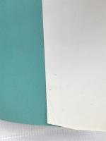 ※FD欠品。Access 2.0 Expert (Windows Expertシリーズ) ソフトバンククリエイティブ 茂, 山下