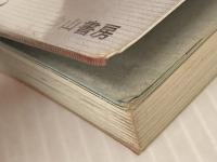 山スキーの技術 (1980年)　 白山書房 青柳 裕樹