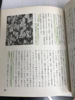 素人果樹づくり―上手に実をならせる (1975年) (Hikari no kuni collection familer) ひかりのくに 吉田 雅夫