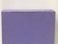 神代秘史資料集成〈人之巻〉事件編 (1985年)