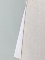 移る世に―青梅虎雄歌集 (醍醐叢書)　 短歌研究社 青梅虎雄