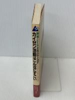 カイゼン活動はこんなにすごい: 時短・ヒト不足をふきとばす 小さな会社から大企業までの導入成功法　 山下書店　 松崎俊道
