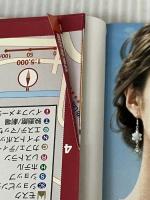 ※付箋シール欠品。シンガポール (いい旅・街歩き 21) 成美堂出版 いい旅・街歩き編集部