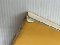 ACCESS VBA実践プログラミング: ACCESS95対応 技術評論社 谷尻 かおり