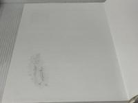 気になる子どもの保健指導マニュアルむし歯 ぱすてる書房 ぱすてる書房