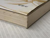 運命を拓く言葉―人生に勝つ東洋の英知　 柏樹社 桜木健古