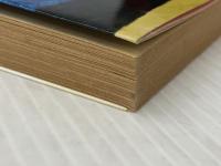 エデンの海 (ロマンブックス) 講談社 若杉慧