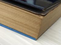 仕手株天井を打つ　 徳間書店 真木洋三